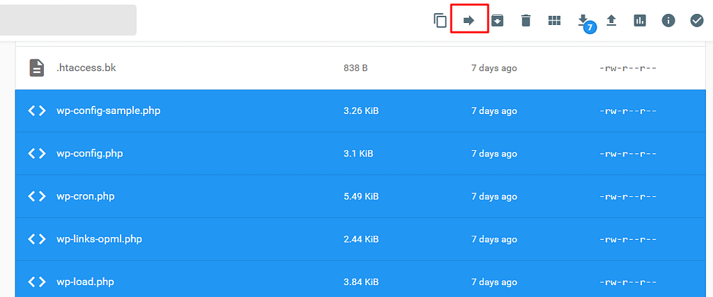 move files on public_html